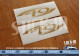Lotus Elise S1 Typ 49 Gold Seitenblinkeraufkleber