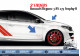 2 karierte Türaufkleber (links + rechts) Rot - Renault Megane 3 RS TROPHY-R 275