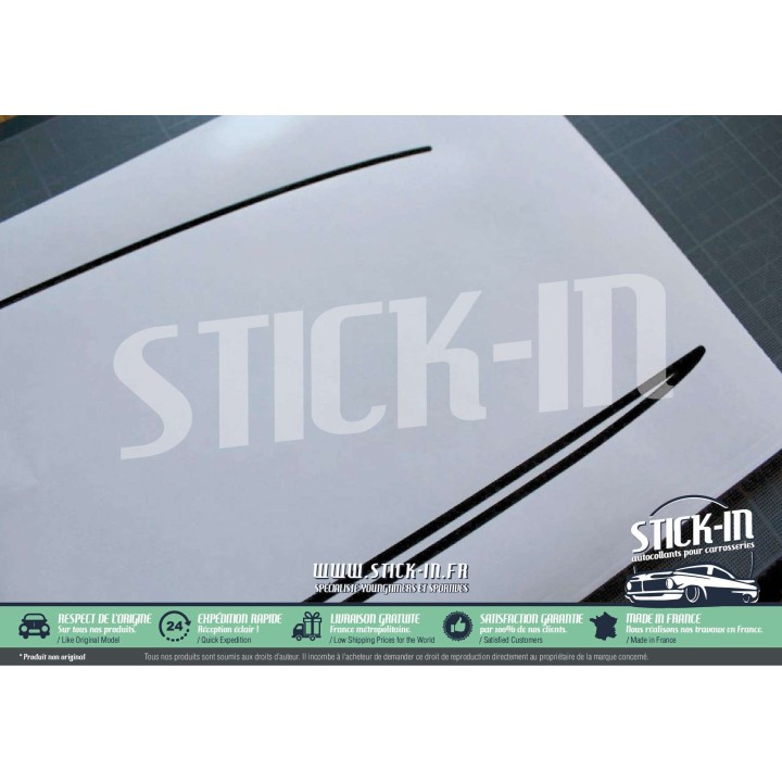 Aufkleber Renault 5 Alpine Turbo 1982 1983 1984 Karosserieentlackung